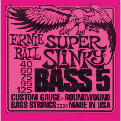 Ernie Ball Super Slinky 5-String 40-125 2824